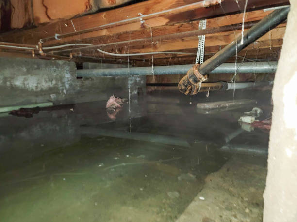 Best Carpet water damage restoration  in Pearl River, LA