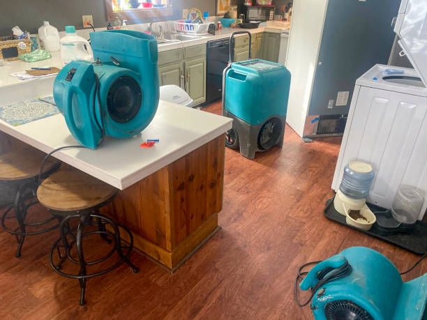 Best Basement water damage restoration  in Pearl River, LA