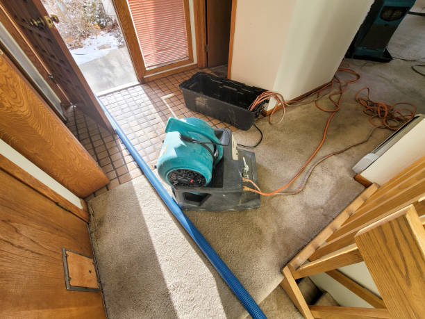 Best Commercial water damage restoration  in Pearl River, LA