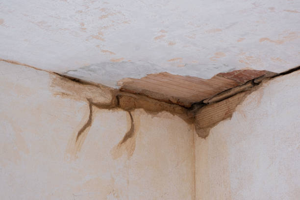 Best Water damage cleanup near me  in Pearl River, LA