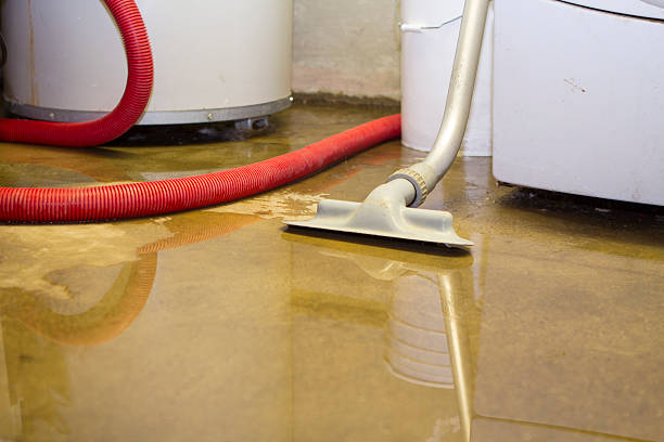 Best Professional water damage repair  in Pearl River, LA