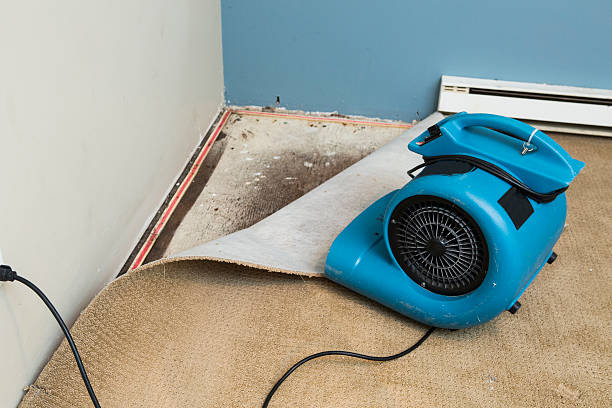 Best Ceiling water damage repair  in Pearl River, LA